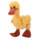 Paco ± 22cm